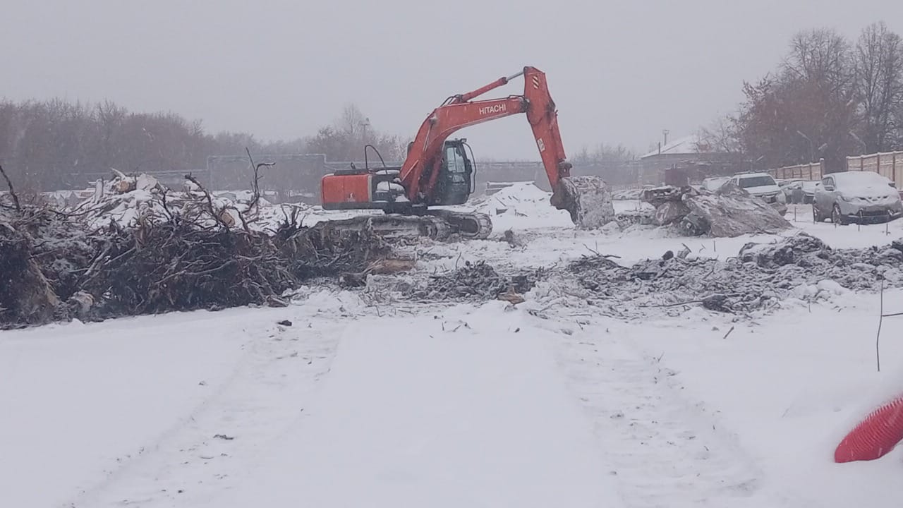 Расчистка территории от растительности